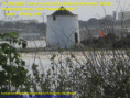 /album/galeria-de-fotos/educa%c3%a7%c3%a3o-2-gif/